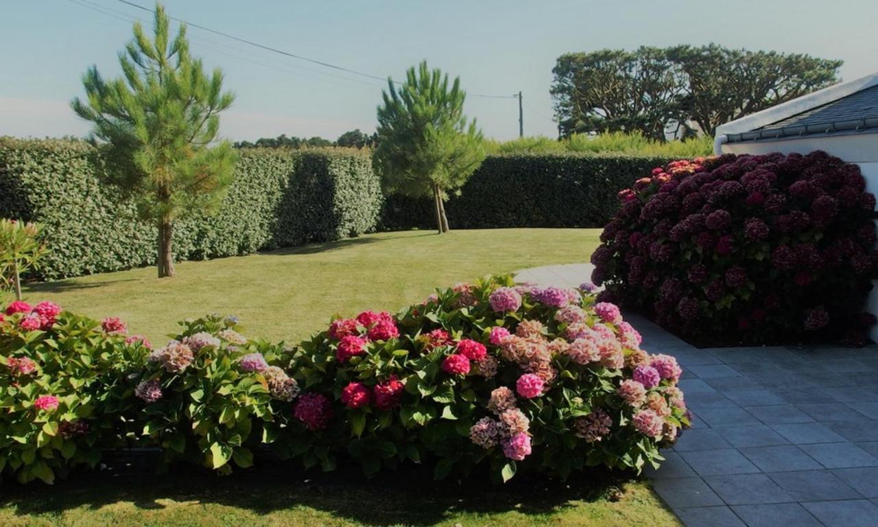 Maison Accueillante A Bangor Avec Jardin Clos Et Cheminee Zewnętrze zdjęcie
